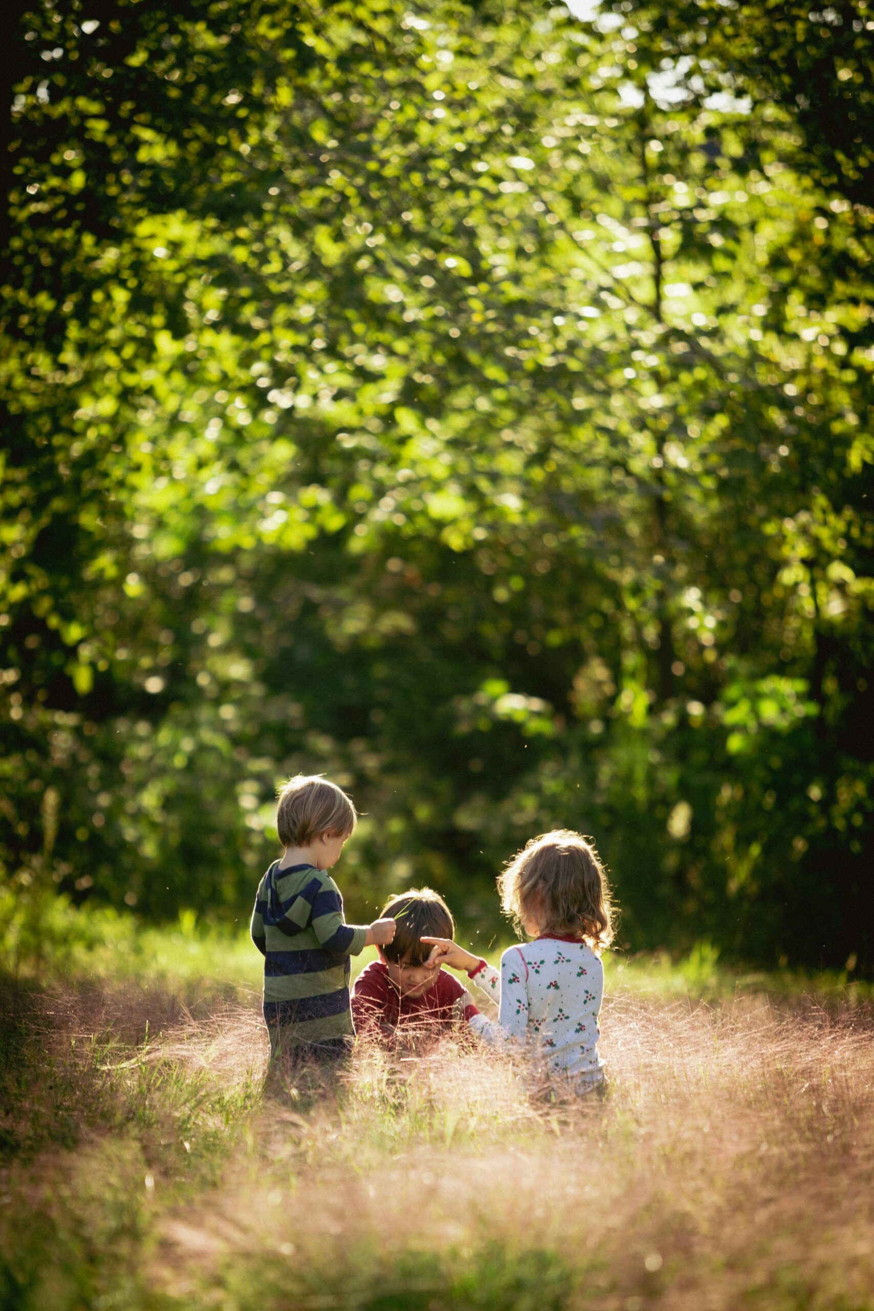 Trois enfants sont assis dans un champ d’herbes hautes